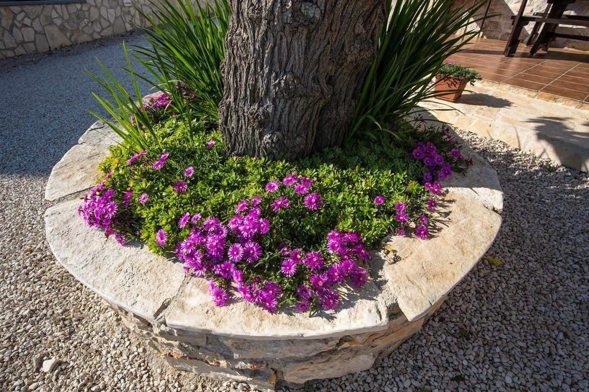 Holiday Home Fasana Fažana Εξωτερικό φωτογραφία